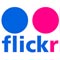 flickr logo