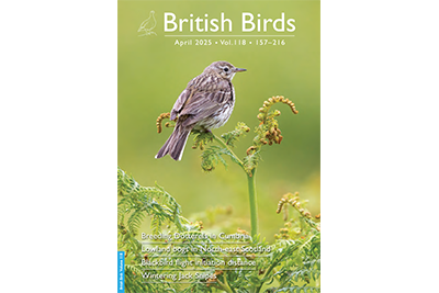 © Oliver Smart/British Birds